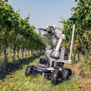 20241126 经济学人| Grape-picking Robots 采葡萄机器人 | 科技英语