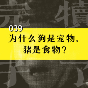 039-为什么狗是宠物，猪是食物？