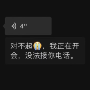 “对不起，我正在开会，没法接你的电话”