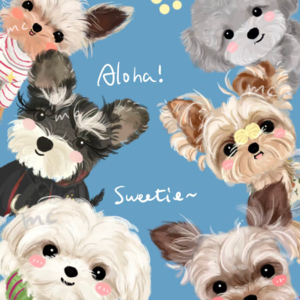 第3期：上天给我们的毛绒创可贴