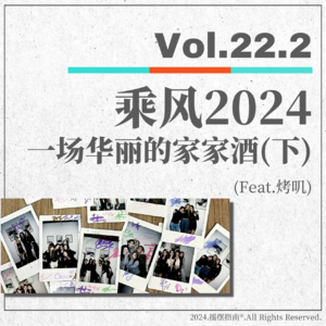 Vol.22.2 乘风2024——华丽家家酒盖不住腐臭（下）