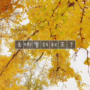 EP26-秋天要做的5件小事