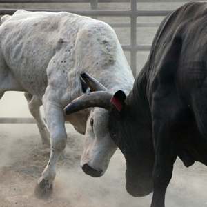 E23 盒马与山姆：大数据新零售为何不及传统？