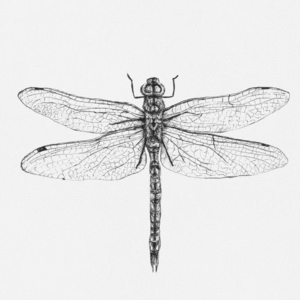 与建筑大王回望2023（三）丨应该多听！