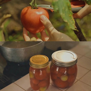 【邂逅时节-立秋】立秋不是秋，不如得闲饮茶