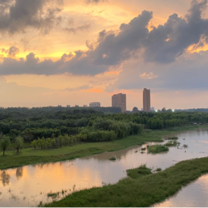 No.17 我们如何讲述自己的一天？