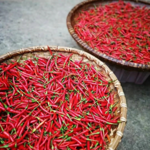 永州陶岭三味辣椒——舌尖上的三重味蕾盛宴