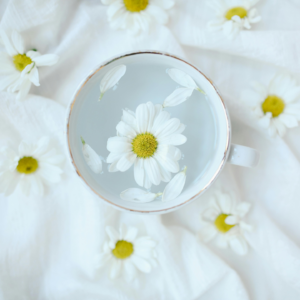 内耗告急！请不要在自我攻击了！