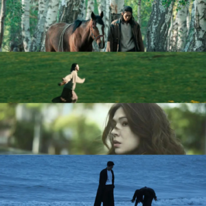 EP40-草原的太阳和城里的月光，我可以都选吗？