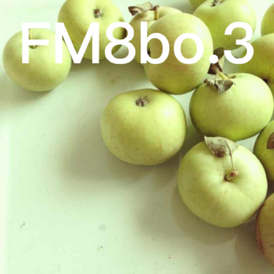 vol.2 WWDC 看睡着了