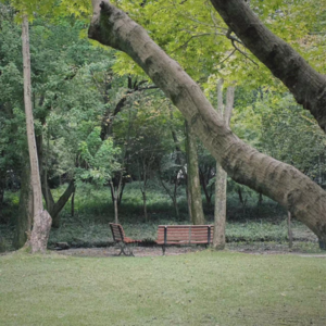 75 我们能超越母爱的羁绊吗？