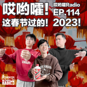 114「哎哟嚯!这春节过的!2023!」