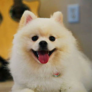 【年终复盘季】连我这种学渣都能听懂的AI for science科普