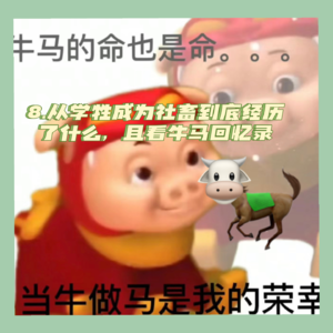 8.从学牲成为社畜到底经历了什么，且看牛马回忆录