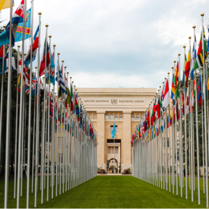 卢大使惹怒国际？谁说西方代表国际？