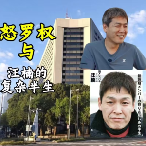 从怒罗权到池袋抢劫案:汪楠的复杂半生与日本帮派的内幕