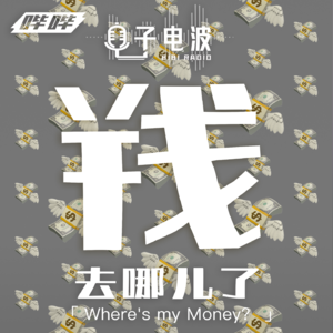 「亲历亲为」012-钱去哪儿了?|我的完美主义(强迫症+扣门)消费观
