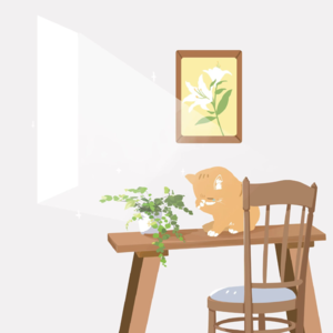 【植物盲盒】为了您的精神健康,请勿在忏悔室内逗留!!