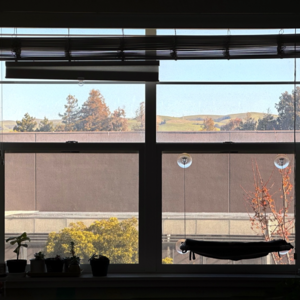 绿狐狸的房间丨在一间只属于自己的房间里,重新发现生活 vol.4