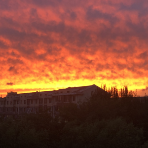 vol.02 给自己的2024年新年贺词