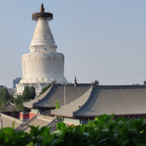EP02 | 在北京也可以开启疗愈之旅：两日city healing路线推荐
