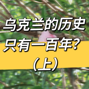 乌克兰的历史只有一百年？（上）