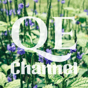 #EP 24 QE Channel 伸缩自如的爱