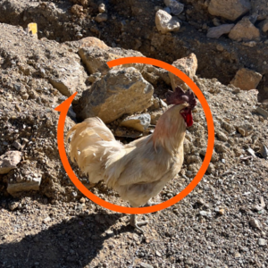 Vol.74 我们可不可以做一个很 I 的中年人