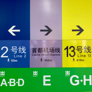 081. 大毛的一周生活观察