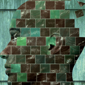 2023年9-12月｜Part 2 感兴趣的科学领域