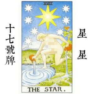 17号牌星星—启示 | 请放下理性，拍脑袋决定吧！