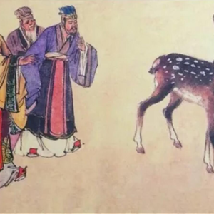 79 大秦七百年：赵高最后的疯狂 (2)