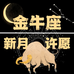 Vol.19:12星座新月许愿系列之金牛座，搞钱必冲！