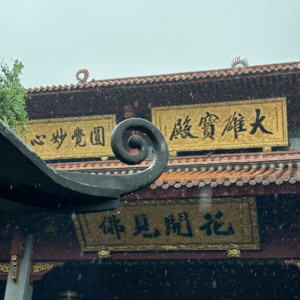 E99 动态修行 I 寺庙的体验:佛法是活出来的