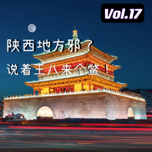 Vol.17 陕西地方邪？说着王八来个鳖！