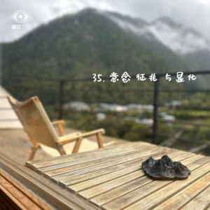 35.  显化| 意念的力量 吸引力法则真的有用？