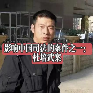 Vo4. 死在警车的两名警察：影响中国司法的十大案件之一 | 杜培武案 聊聊为什么不能刑讯逼供