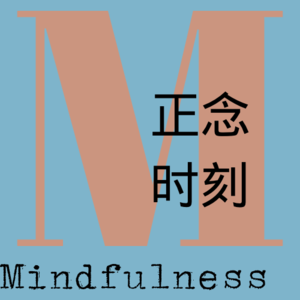 S1E2. 正念(讲解)｜内心的老师傅与小学徒_正念的态度之「初心」｜张满