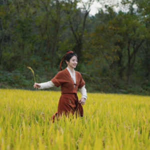 No.87 《田耕纪》：乡村爱情故事无需国舅爷！我们眼中“种田文”的爽点