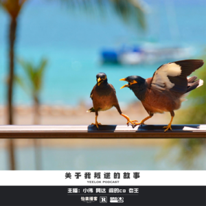 633.关于我叛逆的故事