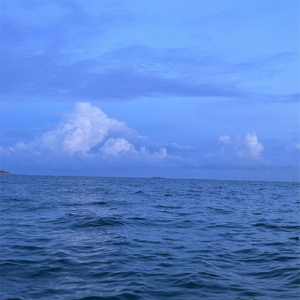 06 友情适配度勘测：一起去旅行吧