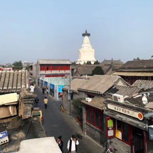 闲闲地坐在胡同里,找不到答案
