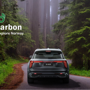 不只是汽车品牌:“红旗”独特在哪?