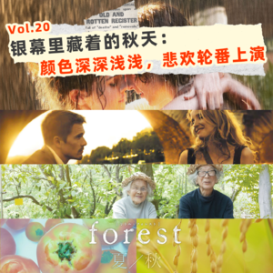 🍂最浪漫的秋天，在这4部电影里🎥爱在 人生果实 小森林 纽约的一个雨天