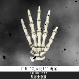 广东“九天化尸”诡案