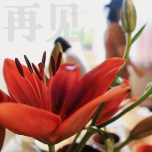 EP32-再见👋不夸我好看的爱人