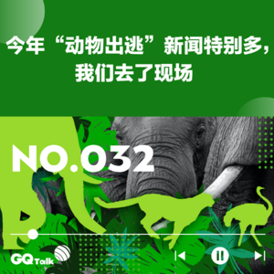 【032】今年“动物出逃”新闻特别多，我们去了现场