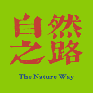 Vol.06 对话鹏翼Link，百万健身博主打破自律陷阱，揭秘流量经济