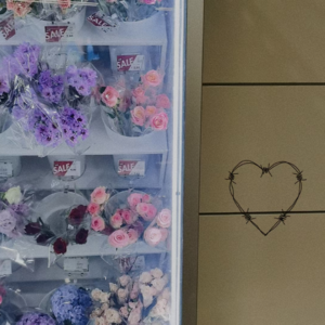 VOL44.水仙即仙品：如果你是别人，你会跟自己谈恋爱吗？