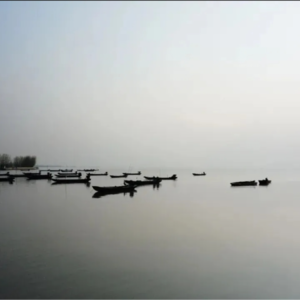 “㹧犭茶湖”三个字，一问两不知——聊聊中国的水利遗产